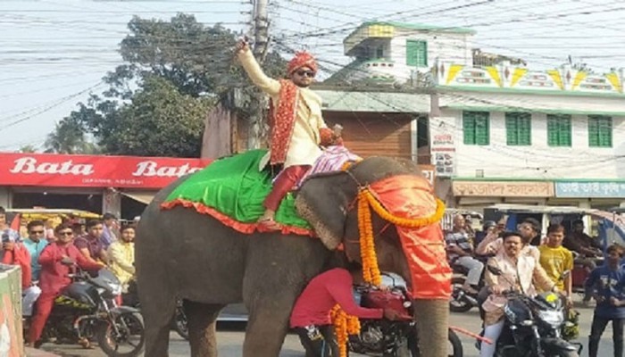 হাতির পিঠে চড়ে রাজকীয় বরযাত্রা, কনে এলো পালকিতে হাতির পিঠে চড়ে রাজকীয় বরযাত্রা, কনে এলো পালকিতে