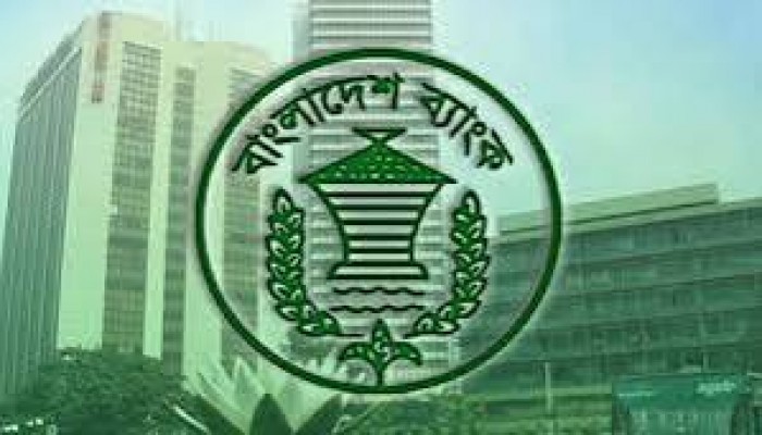 দেশের ১০টি ব্যাংক দেউলিয়া অবস্থায় আছে : গভর্নর দেশের ১০টি ব্যাংক দেউলিয়া অবস্থায় আছে : গভর্নর