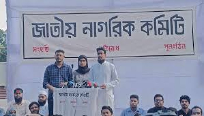 জাতীয় নাগরিক কমিটি গঠন, নেতৃত্বে যারা জাতীয় নাগরিক কমিটি গঠন, নেতৃত্বে যারা