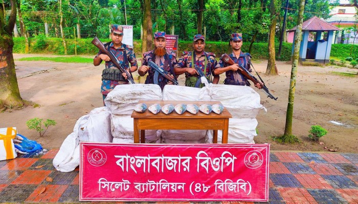 সীমান্ত দিয়ে ভারতে পাচার হচ্ছিল ইলিশ মাছ সীমান্ত দিয়ে ভারতে পাচার হচ্ছিল ইলিশ মাছ