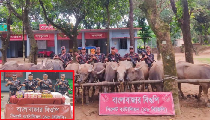 সীমান্তে মহিষের চালানসহ মসলা ও প্রসাধনী জব্দ সীমান্তে মহিষের চালানসহ মসলা ও প্রসাধনী জব্দ