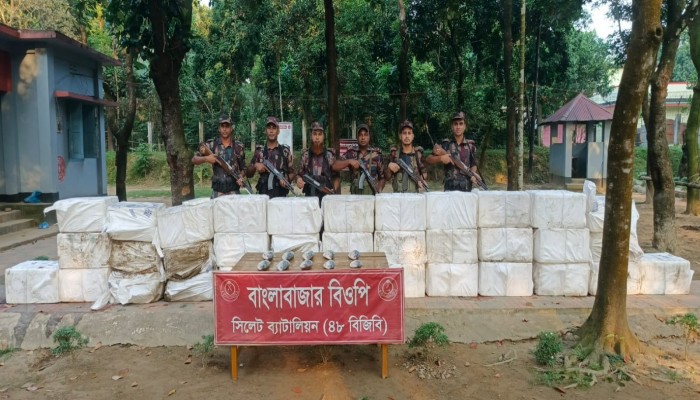 ভারতে পাচারের সময় ৮৮৫ কেজি ইলিশ জব্দ ভারতে পাচারের সময় ৮৮৫ কেজি ইলিশ জব্দ