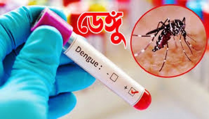 ডেঙ্গুর ভয়াল রূপ সেপ্টেম্বরে, আট মাসের সমান মৃত্যু এক মাসে ডেঙ্গুর ভয়াল রূপ সেপ্টেম্বরে, আট মাসের সমান মৃত্যু এক মাসে