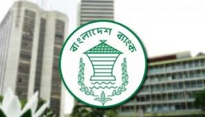 সেপ্টেম্বরে রেমিট্যান্স এলো ২৪০ কোটি ডলার সেপ্টেম্বরে রেমিট্যান্স এলো ২৪০ কোটি ডলার