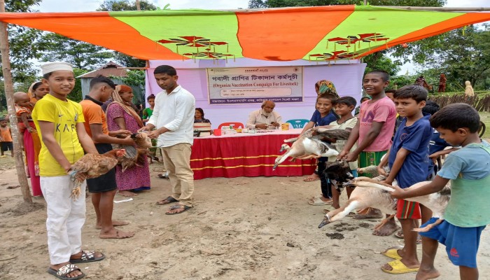 জামালগঞ্জে গবাদি প্রাণীর টিকাদান কর্মসূচি পালিত জামালগঞ্জে গবাদি প্রাণীর টিকাদান কর্মসূচি পালিত