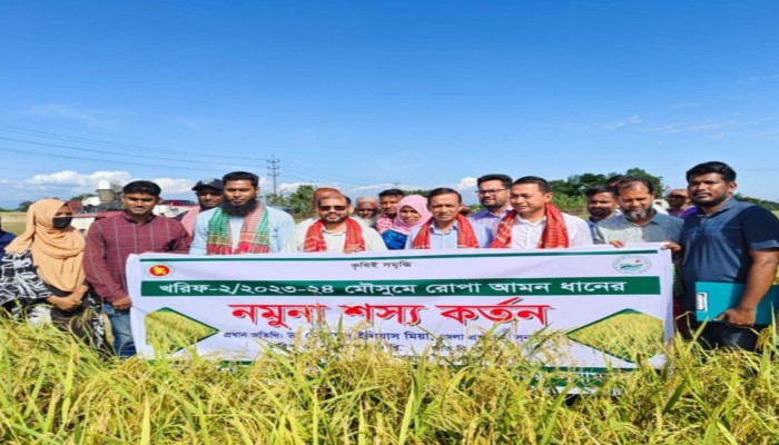 আমন ধানের জাত সম্প্রসারণ নিয়ে কৃষক মাঠ দিবস আমন ধানের জাত সম্প্রসারণ নিয়ে কৃষক মাঠ দিবস