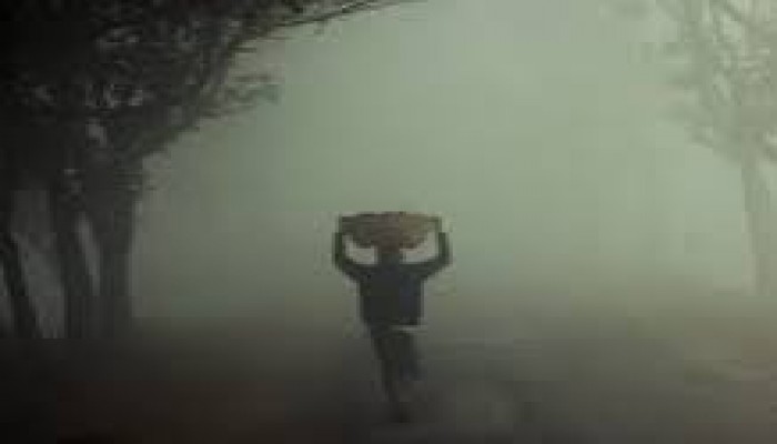কনকনে শীতের দাপট কনকনে শীতের দাপট