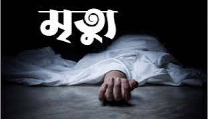 স্বামীর চেয়ারের আঘাতে গৃহবধূর মৃত্যু স্বামীর চেয়ারের আঘাতে গৃহবধূর মৃত্যু