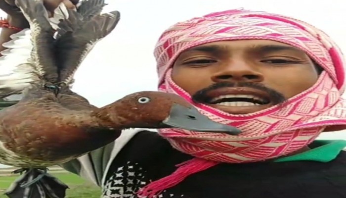 টাঙ্গুয়ার হাওরে শিকারিরা বেপরোয়া : পাখি শিকার করে বিক্রির জন্য ফেসবুকে ভিডিও! টাঙ্গুয়ার হাওরে শিকারিরা বেপরোয়া : পাখি শিকার করে বিক্রির জন্য ফেসবুকে ভিডিও!