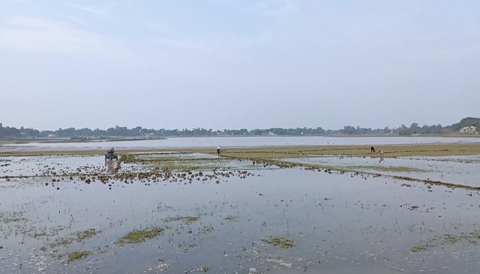 হাওরের পানি নিষ্কাশনে ধীরগতি, বিপাকে কৃষক হাওরের পানি নিষ্কাশনে ধীরগতি, বিপাকে কৃষক