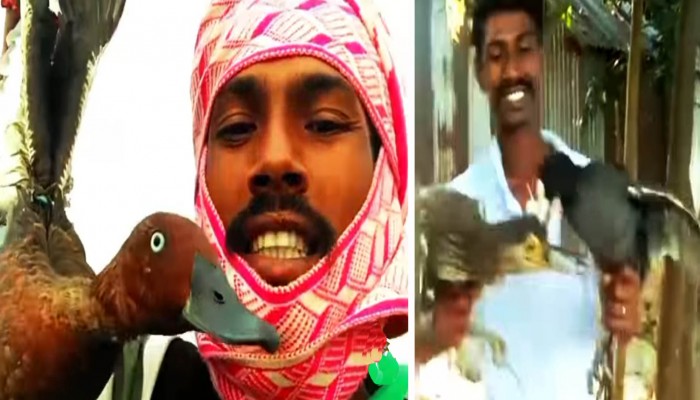 হাওরে সক্রিয় শিকারিচক্র হাওরে সক্রিয় শিকারিচক্র