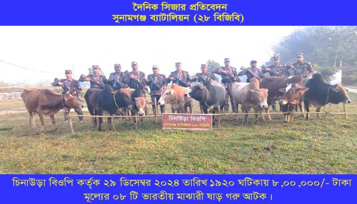 সীমান্তে ৩০ লক্ষাধিক টাকার অবৈধ পণ্য জব্দ সীমান্তে ৩০ লক্ষাধিক টাকার অবৈধ পণ্য জব্দ