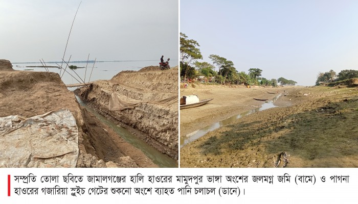 জলমগ্ন জমিনে দশ হাজার হেক্টর জমির চাষাবাদ ব্যাহত জলমগ্ন জমিনে দশ হাজার হেক্টর জমির চাষাবাদ ব্যাহত