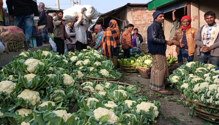 সবজির দরে ধস: ভোক্তারা স্বস্তিতে, চাষীরা হতাশায় সবজির দরে ধস: ভোক্তারা স্বস্তিতে, চাষীরা হতাশায়