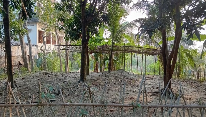 সরস্বতীপুর সরকারি প্রাথমিক বিদ্যালয় বিদ্যালয়ের জমি প্রভাবশালীর দখলে সরস্বতীপুর সরকারি প্রাথমিক বিদ্যালয় বিদ্যালয়ের জমি প্রভাবশালীর দখলে