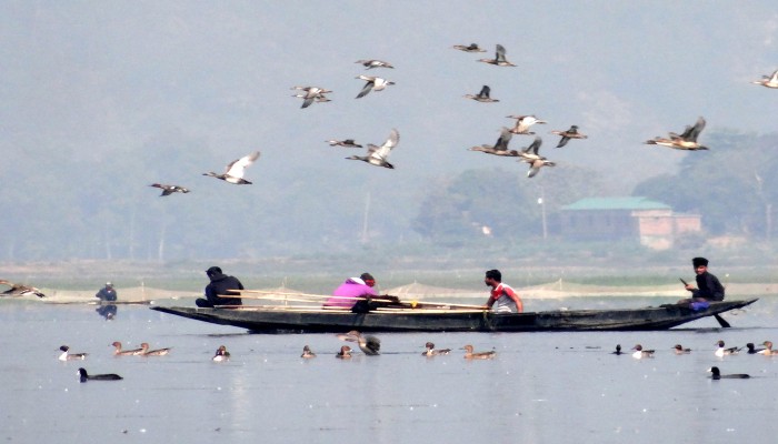 ‘মানুষের উৎপাতে’ পাখি নেই টাঙ্গুয়ার হাওরে