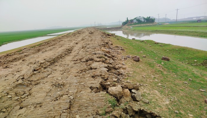 ধর্মপাশায় বাঁধের কমপেকশন সঠিকভাবে হয়নি, পিআইসি’র সভাপতিকে শোকজ ধর্মপাশায় বাঁধের কমপেকশন সঠিকভাবে হয়নি, পিআইসি’র সভাপতিকে শোকজ