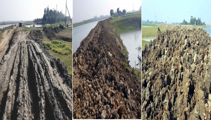 দিরাইয়ে ফসলরক্ষা বাঁধের বেহাল দশা, কাজের ধীরগতি দিরাইয়ে ফসলরক্ষা বাঁধের বেহাল দশা, কাজের ধীরগতি