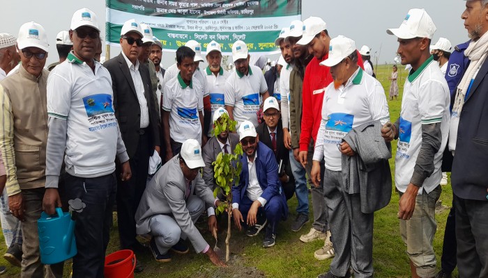 টাঙ্গুয়ার হাওরে লাগানো হবে ৩০ হাজার হিজল-করচ টাঙ্গুয়ার হাওরে লাগানো হবে ৩০ হাজার হিজল-করচ