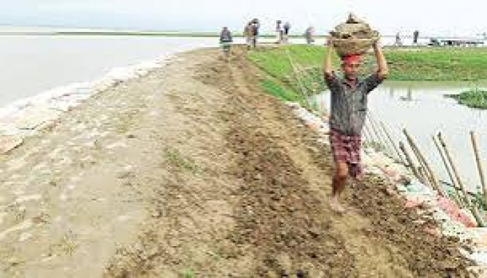 দিরাইয়ে বাঁধের কাজে ধীরগতি, শঙ্কায় কৃষক দিরাইয়ে বাঁধের কাজে ধীরগতি, শঙ্কায় কৃষক