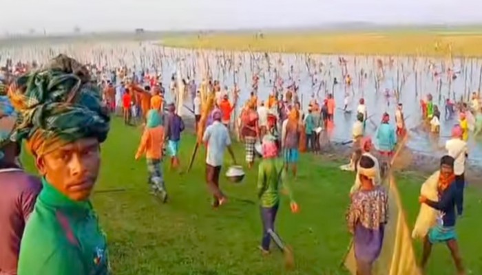 দিরাই-শাল্লায় উচ্ছৃঙ্খল জনতা লুটে নিচ্ছে বিভিন্ন বিলের মাছ দিরাই-শাল্লায় উচ্ছৃঙ্খল জনতা লুটে নিচ্ছে বিভিন্ন বিলের মাছ