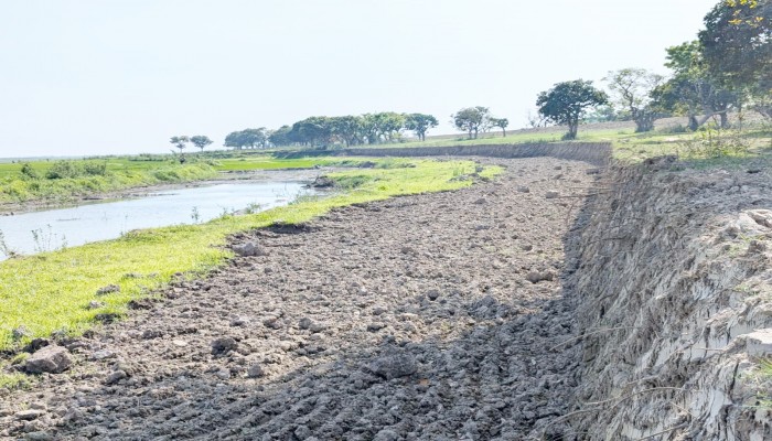 ফসলরক্ষা বাঁধের জন্য কাটা হচ্ছে টাঙ্গুয়ার মাটি, উজাড় হচ্ছে কান্দা, ধ্বংস হচ্ছে বাস্তুসংস্থান ফসলরক্ষা বাঁধের জন্য কাটা হচ্ছে টাঙ্গুয়ার মাটি, উজাড় হচ্ছে কান্দা, ধ্বংস হচ্ছে বাস্তুসংস্থান