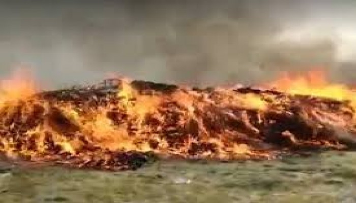 টাঙ্গুয়ার হাওরে লক্ষাধিক টাকার চায়না দুয়ারী ও কোনাজাল পুড়িয়ে ধ্বংস টাঙ্গুয়ার হাওরে লক্ষাধিক টাকার চায়না দুয়ারী ও কোনাজাল পুড়িয়ে ধ্বংস