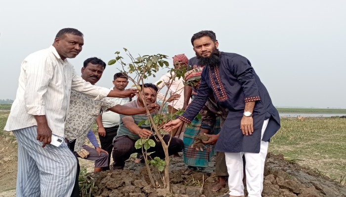 জামালগঞ্জে জলমহাল পুনঃখনন ও বৃক্ষরোপণ কাজের উদ্বোধন জামালগঞ্জে জলমহাল পুনঃখনন ও বৃক্ষরোপণ কাজের উদ্বোধন