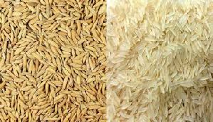 বোরোতে ৪৯ টাকায় চাল ও ৩৬ টাকা দরে ধান কিনবে সরকার বোরোতে ৪৯ টাকায় চাল ও ৩৬ টাকা দরে ধান কিনবে সরকার