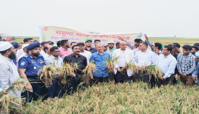 ধান কেনায় সিন্ডিকেট হলে সোজা করে দেব : কৃষি উপদেষ্টা ধান কেনায় সিন্ডিকেট হলে সোজা করে দেব : কৃষি উপদেষ্টা