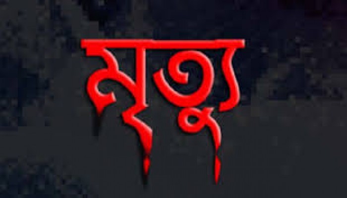 পানিতে ডুবে দুই শিশুর মৃত্যু পানিতে ডুবে দুই শিশুর মৃত্যু