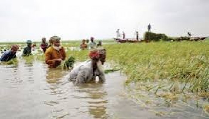 বন্যার ঝুঁকিতে হাওরাঞ্চল বন্যার ঝুঁকিতে হাওরাঞ্চল
