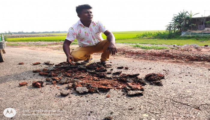 দোয়ারাবাজার-শ্রীপুর-কাফলাবাজার সড়ক, হাতের টানে ওঠে যাচ্ছে সড়কের পিচ দোয়ারাবাজার-শ্রীপুর-কাফলাবাজার সড়ক, হাতের টানে ওঠে যাচ্ছে সড়কের পিচ
