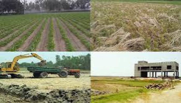 ‘খাস কমিটি’ গঠন করে সরকারি খাল ও জমি লিজ! ‘খাস কমিটি’ গঠন করে সরকারি খাল ও জমি লিজ!