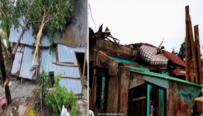 দোয়ারাবাজারে লন্ডভন্ড ঘরবাড়ি, গাছপালা দোয়ারাবাজারে লন্ডভন্ড ঘরবাড়ি, গাছপালা
