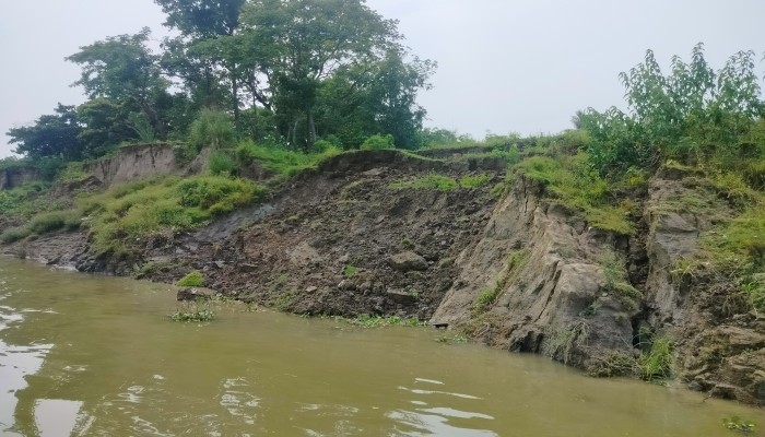 সুরমা গিলছে বসতভিটা-কৃষিজমি আতঙ্কে মাছিমপুর গ্রামের মানুষ সুরমা গিলছে বসতভিটা-কৃষিজমি আতঙ্কে মাছিমপুর গ্রামের মানুষ