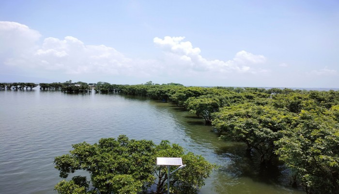 অনিয়ন্ত্রিত পর্যটনে বিপদে টাঙ্গুয়ার হাওর অনিয়ন্ত্রিত পর্যটনে বিপদে টাঙ্গুয়ার হাওর