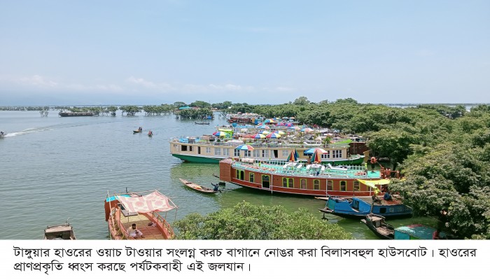 হাওরের সম্পদ সৌন্দর্যে মরণকামড়, শূন্য হচ্ছে বিরল ভান্ডার হাওরের সম্পদ সৌন্দর্যে মরণকামড়, শূন্য হচ্ছে বিরল ভান্ডার