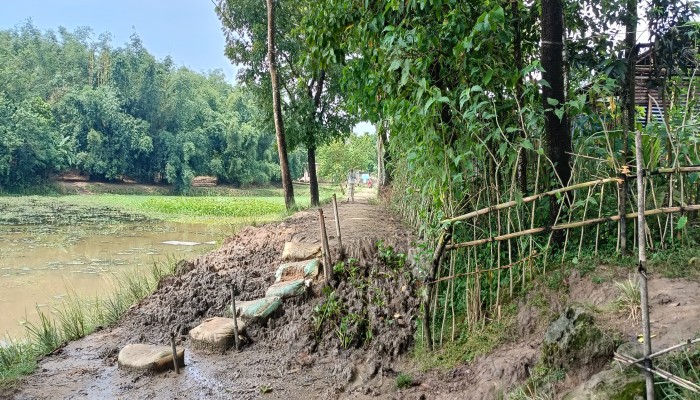 এক ইউপি সদস্য ১৩ প্রকল্পের সভাপতি! এক ইউপি সদস্য ১৩ প্রকল্পের সভাপতি!