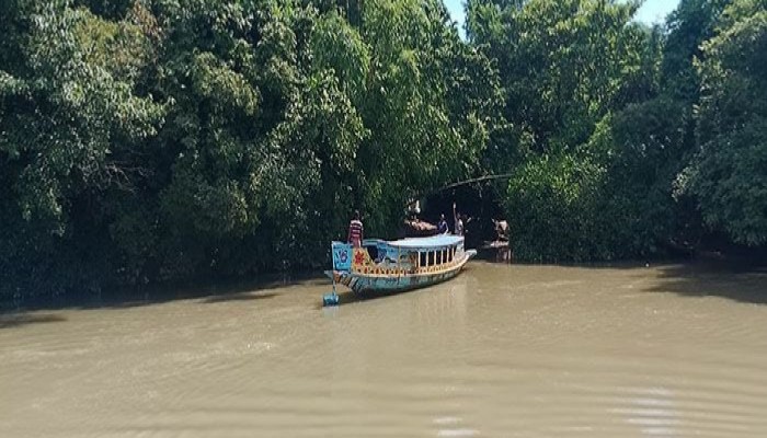 শিক্ষার্থীদের ঝুঁকিপূর্ণ যাতায়াত পারাপারে নৌকা আর বাঁশের সাঁকোই ভরসা
