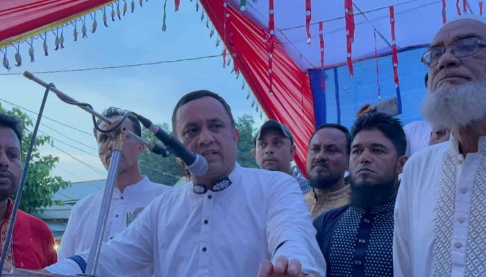 বিএনপি’র প্রার্থীকে বিজয়ী করতে হবে : পাবেল চৌধুরী