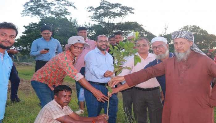 আন্তর্জাতিক প্রবীণ দিবস উদযাপিত