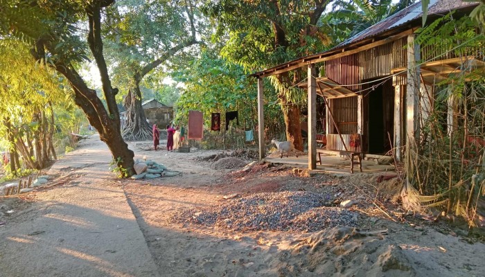 ইব্রাহীমপুরে সড়কে গাছ, চলাচলে ভোগান্তি