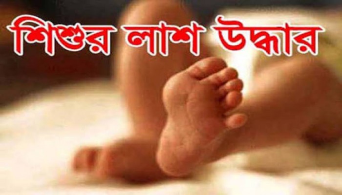 ধর্মপাশায় ডোবা থেকে দুই শিশুর লাশ উদ্ধার