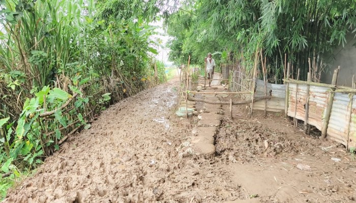 দোয়ারাবাজারের আলীপুর থেকে নূরপুর কাঁচা রাস্তাটির কারণে দুর্ভোগে কয়েক হাজার মানুষ