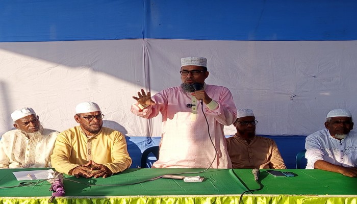 জামায়াত ক্ষমতায় এলে হাওরাঞ্চলের উন্নয়নকে অগ্রাধিকার দিয়ে কাজ করবে : তোফায়েল আহমদ খান