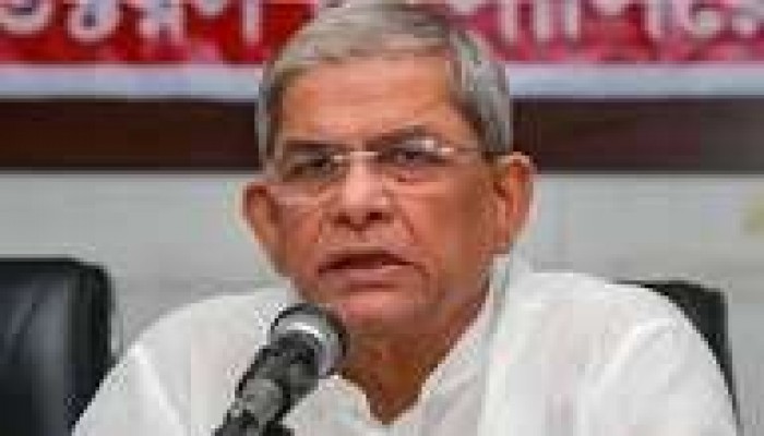 সোশ্যাল মিডিয়া ব্যবহার করে মব তৈরি করা হচ্ছে : মির্জা ফখরুল