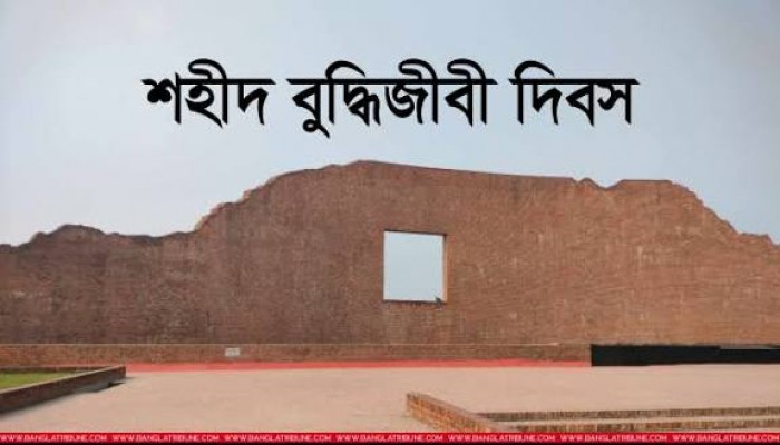 শহীদ বুদ্ধিজীবী দিবস আজ