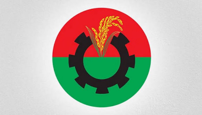 স্বতন্ত্র প্রার্থী হয়ে ভোটে লড়লে ব্যবস্থা নেবে বিএনপি