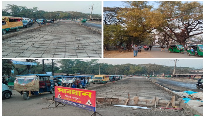 গাছ ও অবৈধ দখলে ব্যাহত চার লেনের সড়ক নির্মাণকাজ